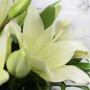 5 белых лилий в коробке фото 3
